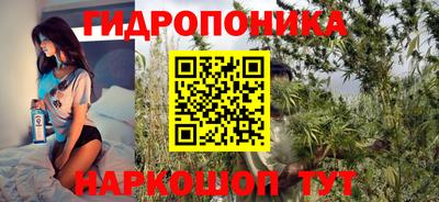 бошки Будённовск
