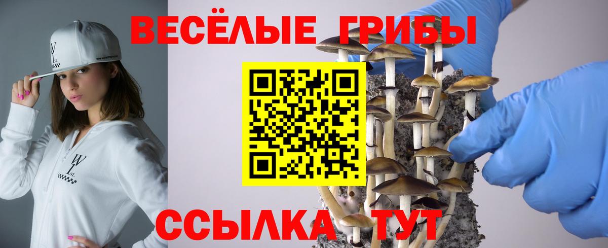 Галлюциногенные грибы прущие грибы Копейск